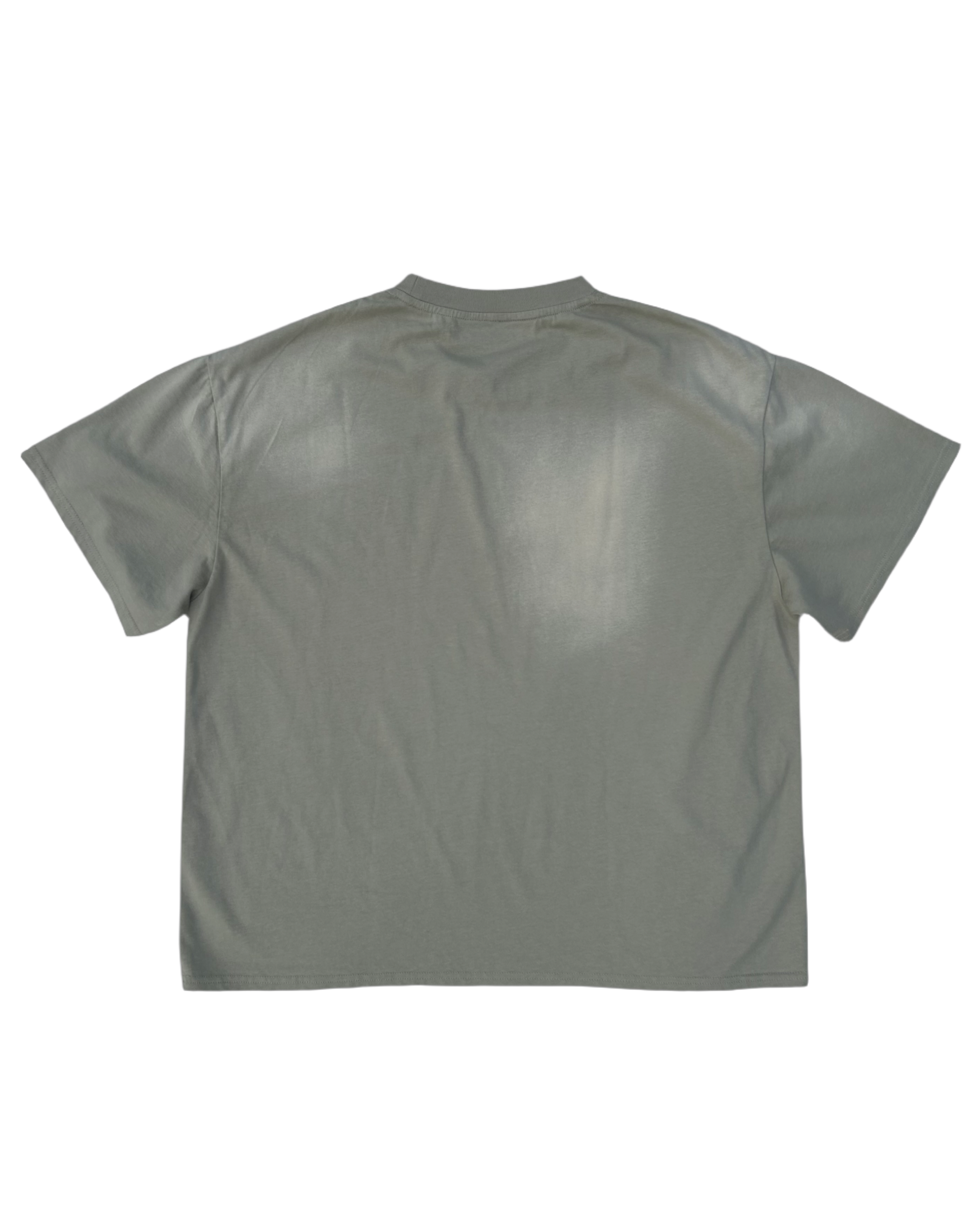 Unity-Tee-Sage